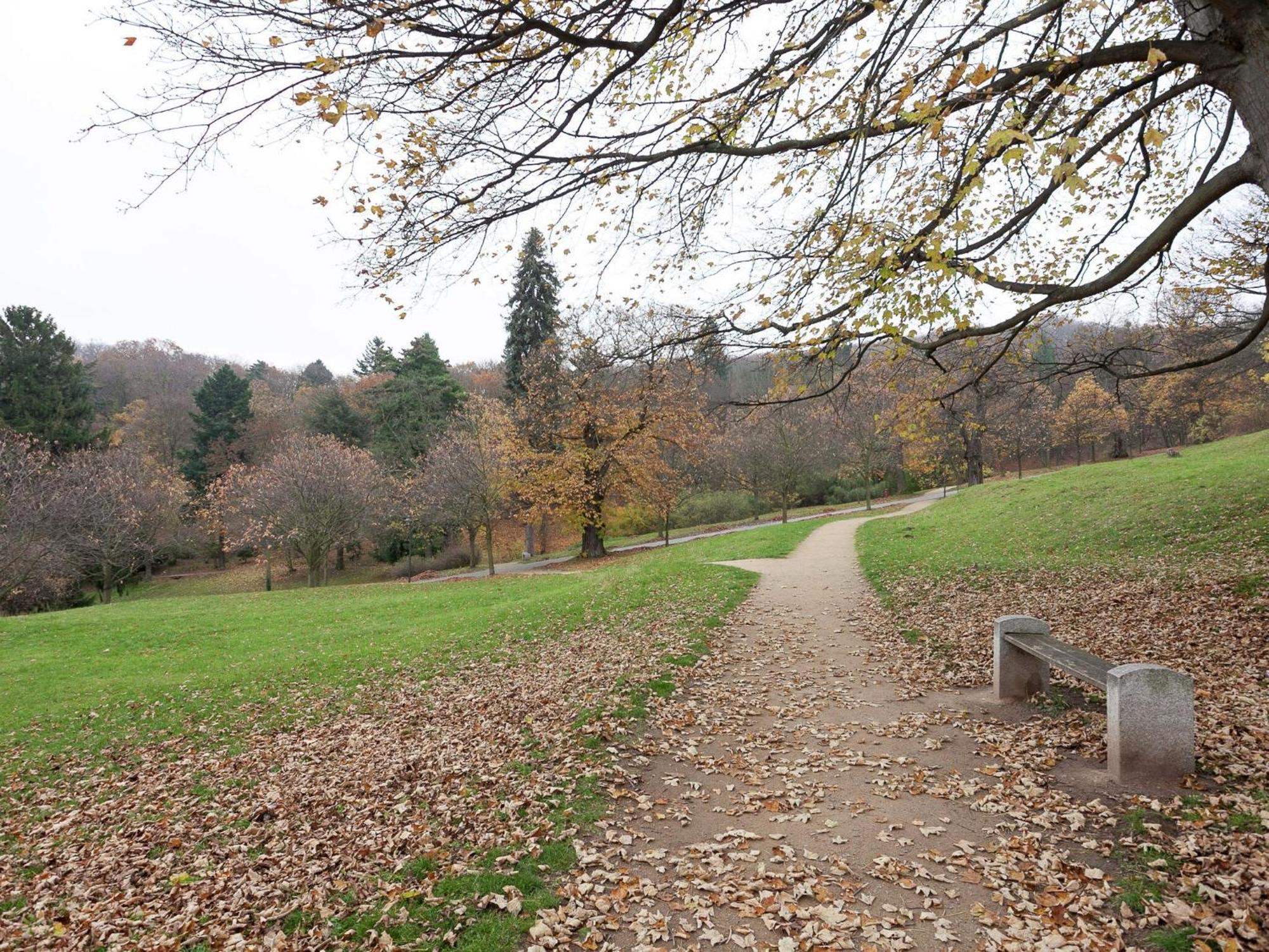 Beautiful Apartment In D Rnthal Near The Forest Voigtsdorf Exterior photo